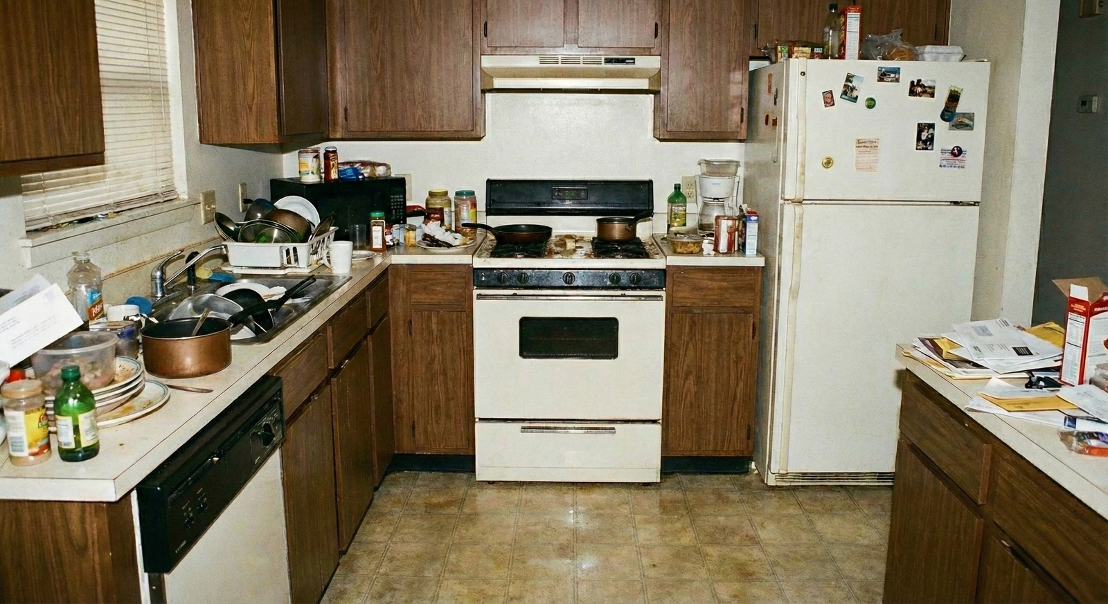 Before Cleaning - Kitchen